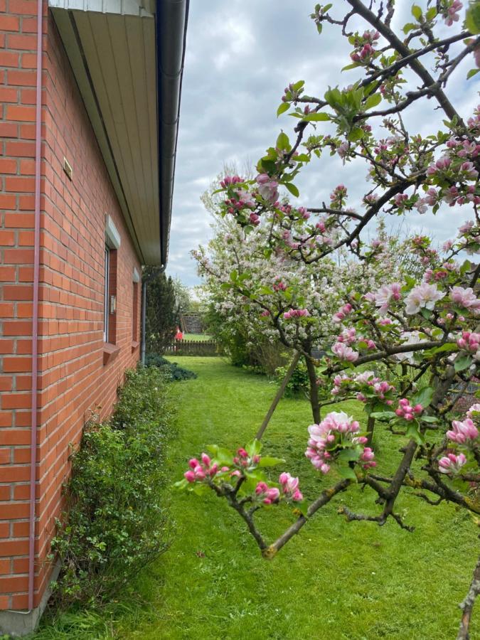 Ferienhaus Annu Lensahn Ngoại thất bức ảnh